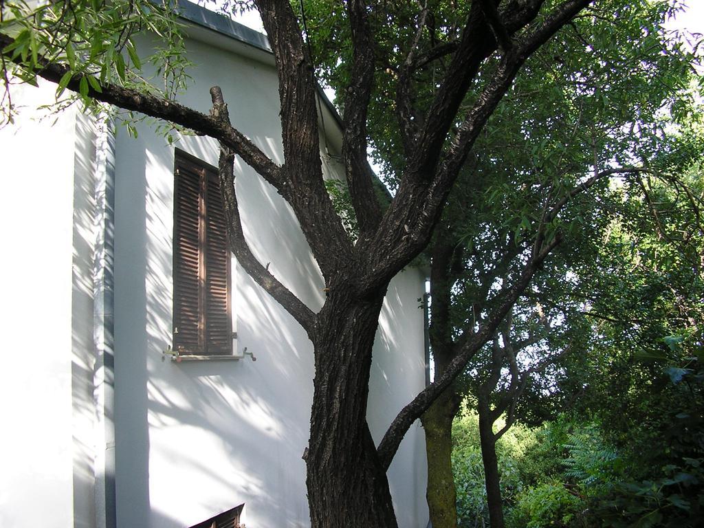 Apartment Bilic Klenovica Room photo